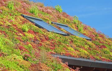 Evelix living roof systems